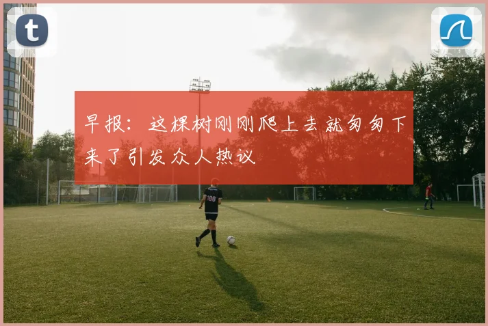 早报：这棵树刚刚爬上去就匆匆下来了引发众人热议